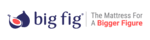 Big Fig Mattress logo